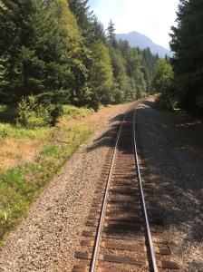 Peeking out the back